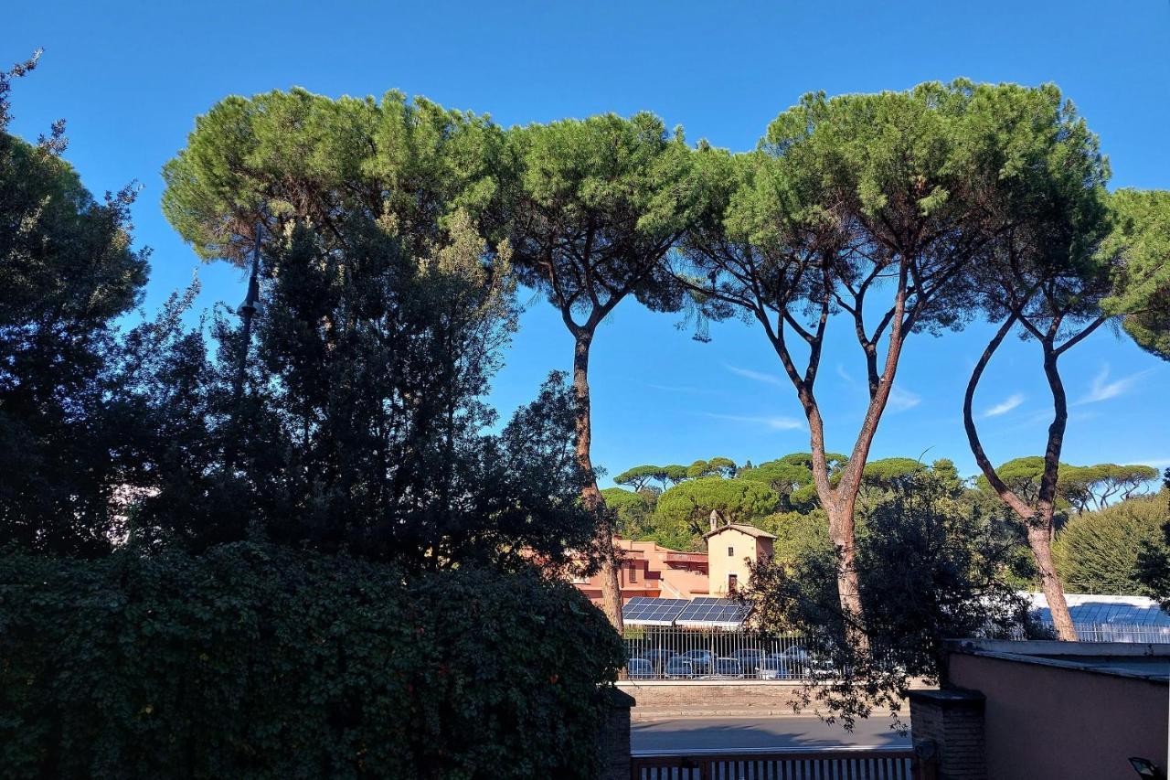 Druso Dream Apartment Colosseo Roma Dış mekan fotoğraf
